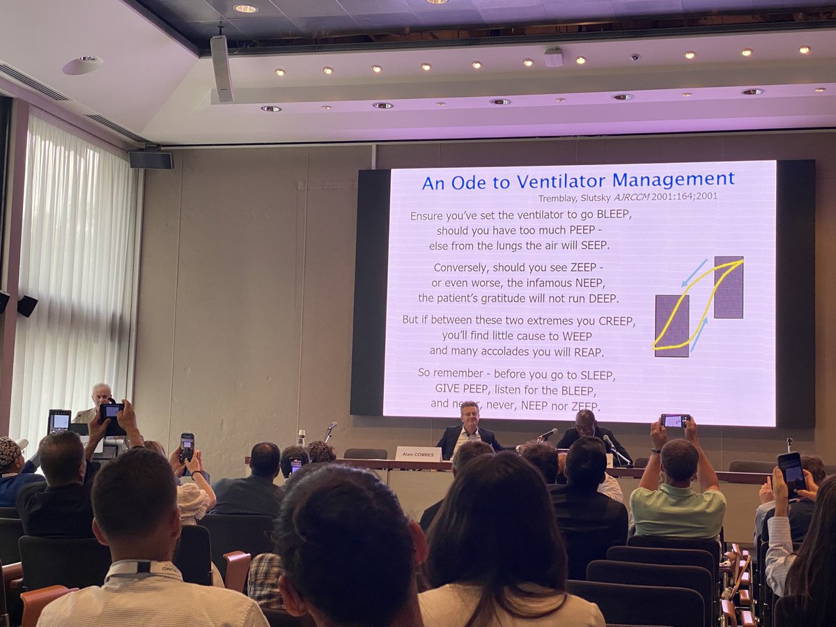 Lisa Pereira tweet media