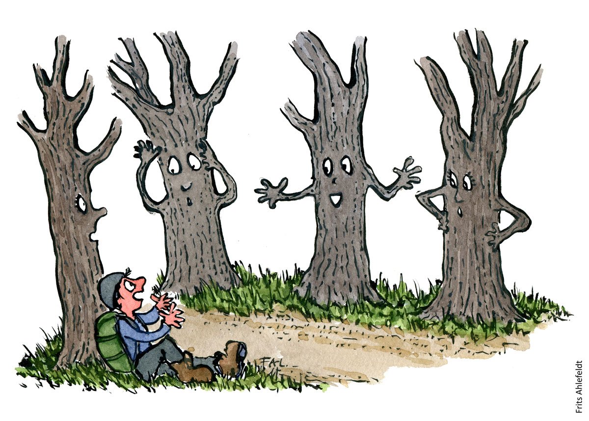 #FunFacts
Trees actually talk to each other