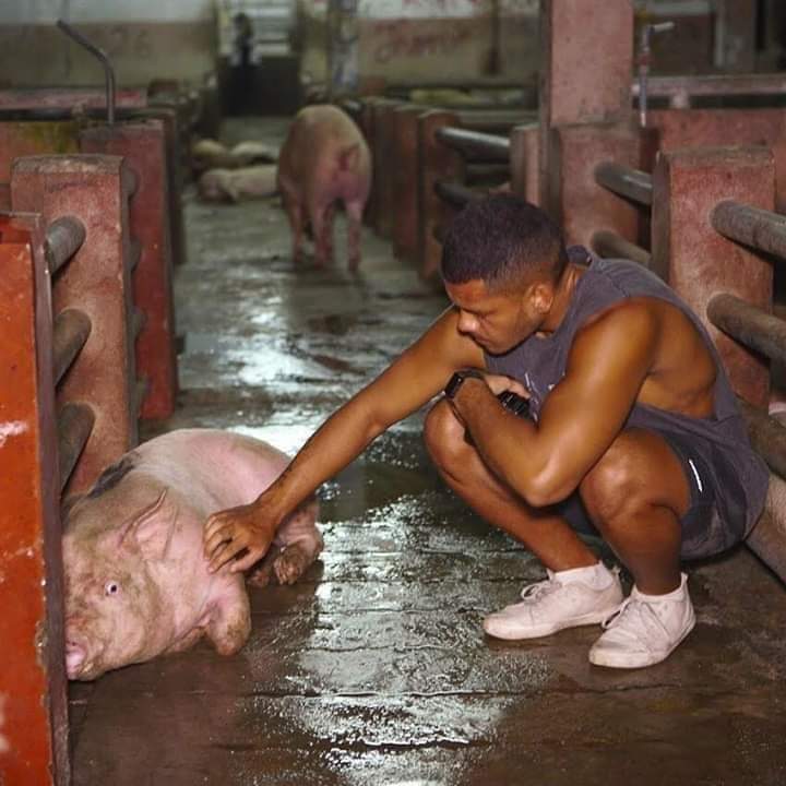 ImKhan70's tweet image. The strongest men are the ones with compassion.