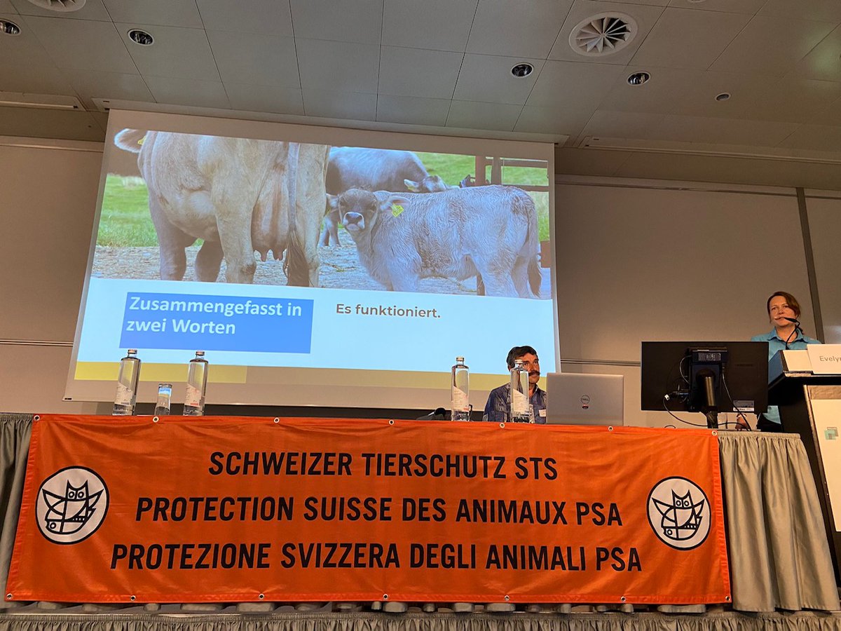 Unser Verein durfte die gemeinsame Haltung von Milchkuh und Kälbchen an der Nutztiertagung vom Schweizer Tierschutz vorstellen.

Die gemeinsame Haltung wurde auch von anderen Referenten als tierfreundlichste Art der Milchproduktion eingestuft.

Bild: Adrian Krebs, BauernZeitung