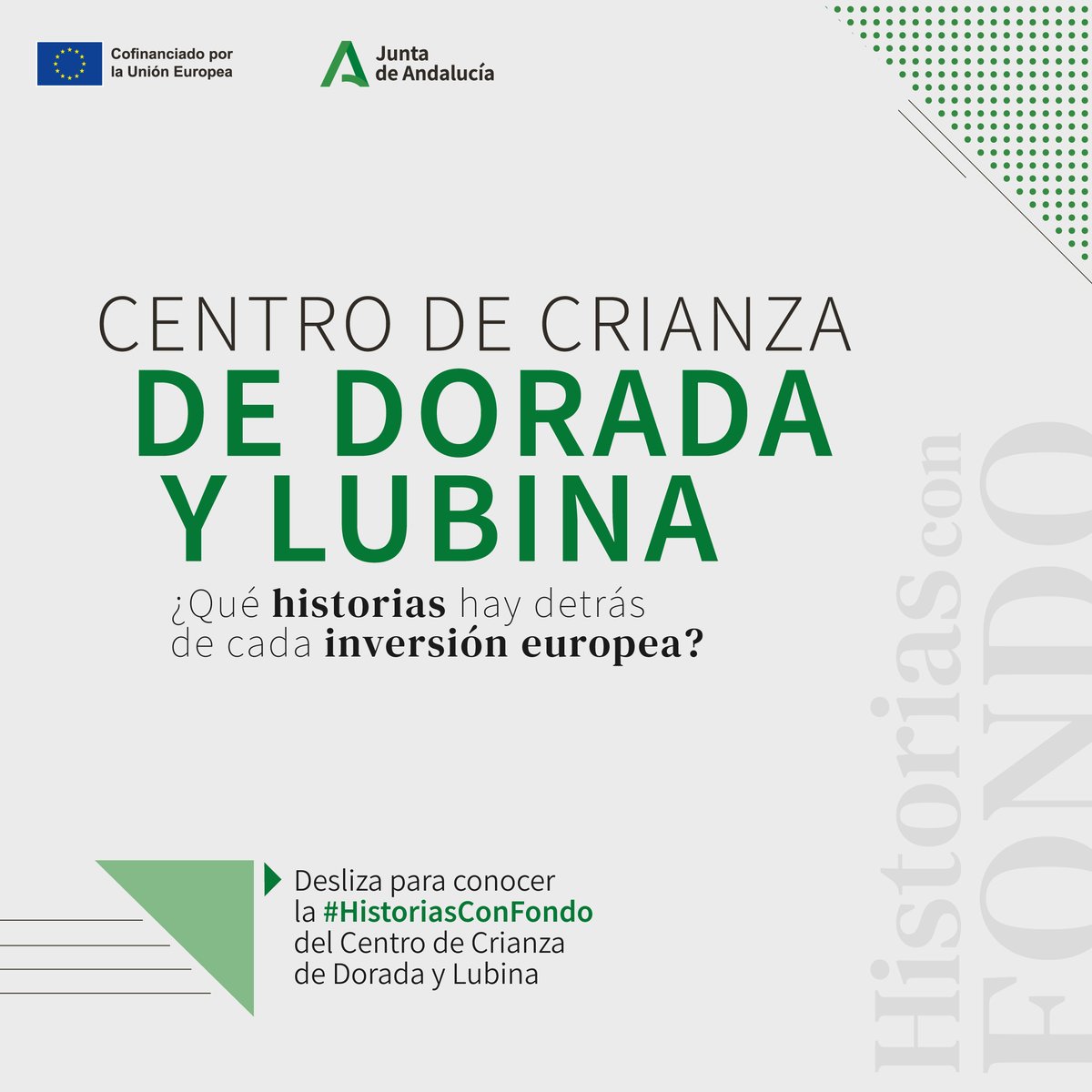 Ayer fue el #DíaDeLaGenteDeMar y queremos celebrarlo recordando historias como la de Antonio y Javier.

En el río Barbate, allí donde el Mediterráneo y el Atlántico se unen, esta empresa familiar empieza a criar lubinas y doradas, constituyendo el pescado de estero más natural.