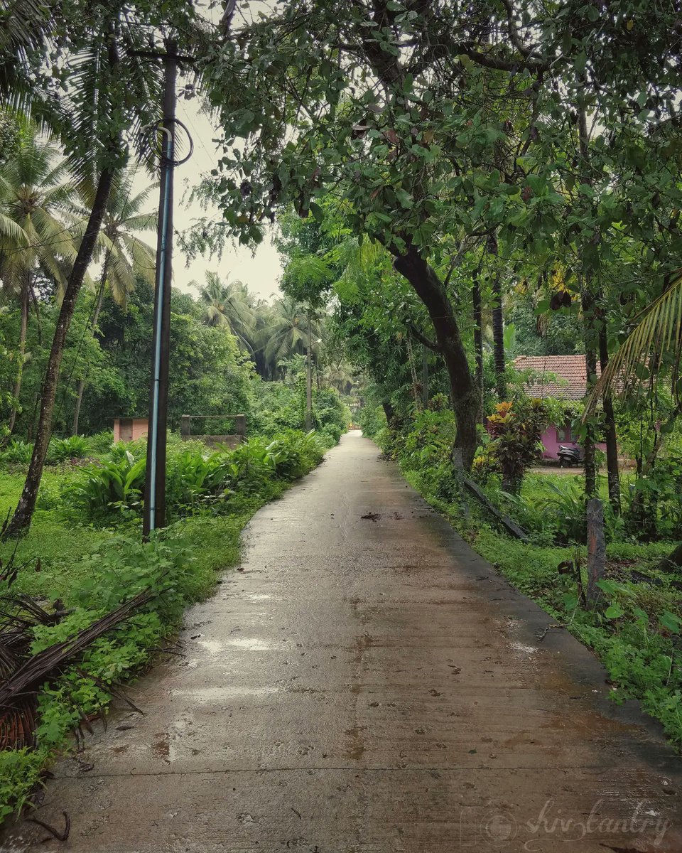 shiv0706's tweet image. The silence after a cleansing rain!

#rains #mattu #udupi #katapady