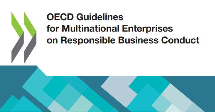 Líneas Directrices de la OCDE: Una actualización oportuna y a grandes rasgos satisfactoria dlvr.it/SrF7N9