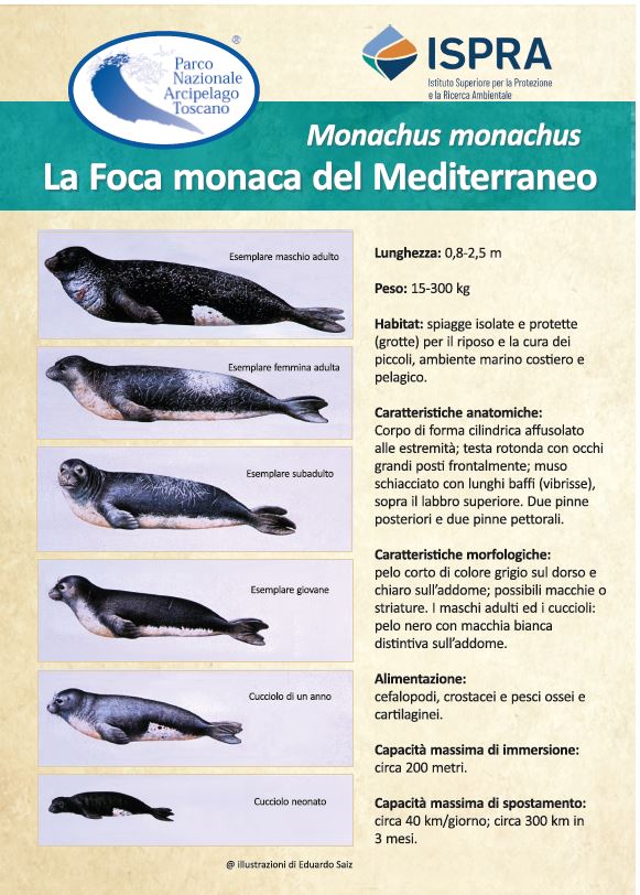parcoisoletoscane tweet media