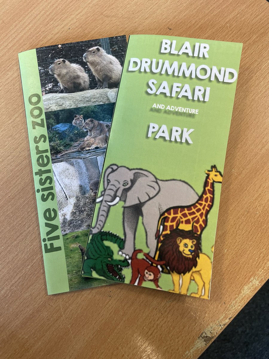 Fantastic finished Scottish Attraction leaflets from 2J! Finished just in time for our last lesson before Summer 🐒🦁