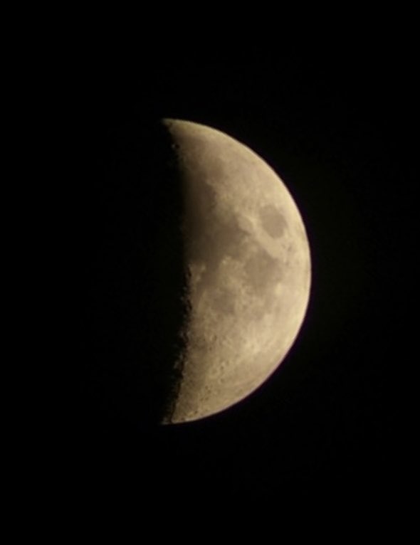 shibuyazarny's tweet photo. 今夜は弦を張った弓のように見える弓張月🌙闇深いミャンマー現地の活動家等によって避難所と変化した僧院で生活する子供等への食糧支援を絶えず行っています。その他貧困層地域に対しお米を配布する等の食糧支援を継続しています。
#FullMoonFund #フルムーン基金🌕 https://t.co/QksMOY9UZY