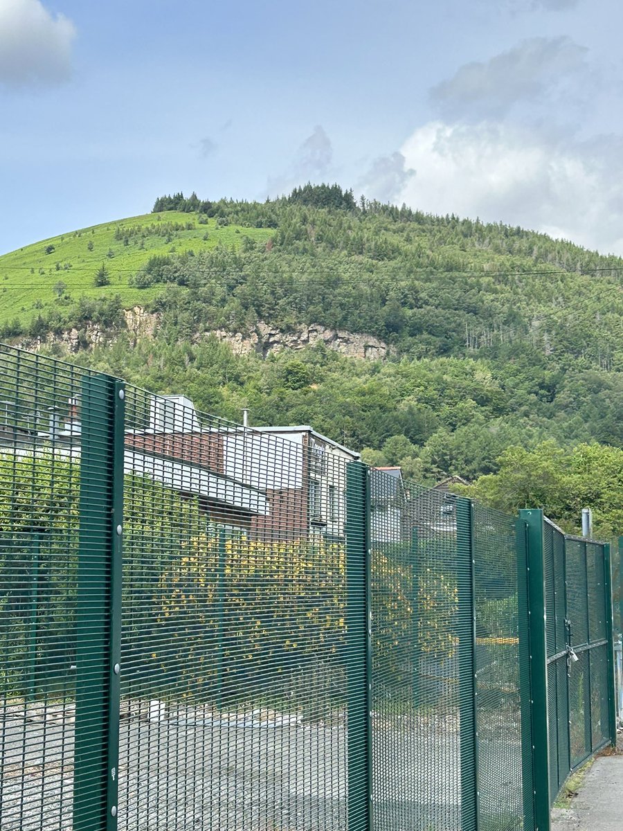 Chantal Brown tweet media