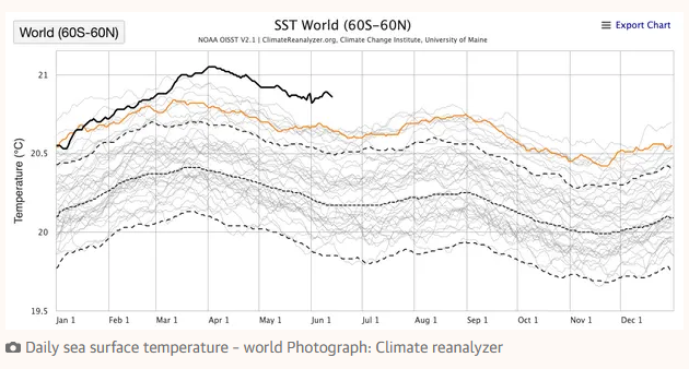 FVergunst's tweet photo. In case you're wondering what recent heatwaves are doing to ocean temperatures and whether you should be worried, this graphic tells you everything you need to know
https://t.co/99Wdmfjhcj https://t.co/DNqXwMAiyO