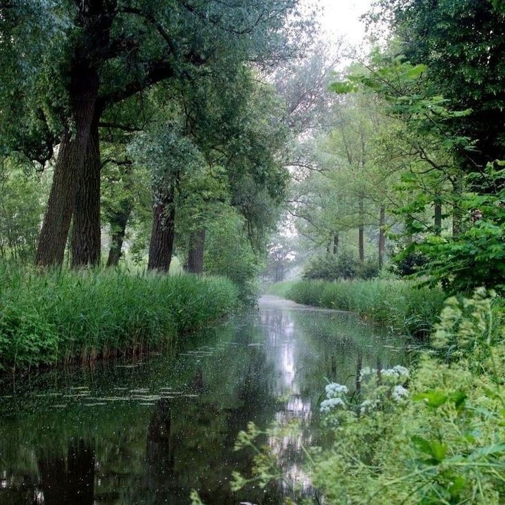 elemmiressoul's tweet photo. waterway. https://t.co/z9cCDRLybC