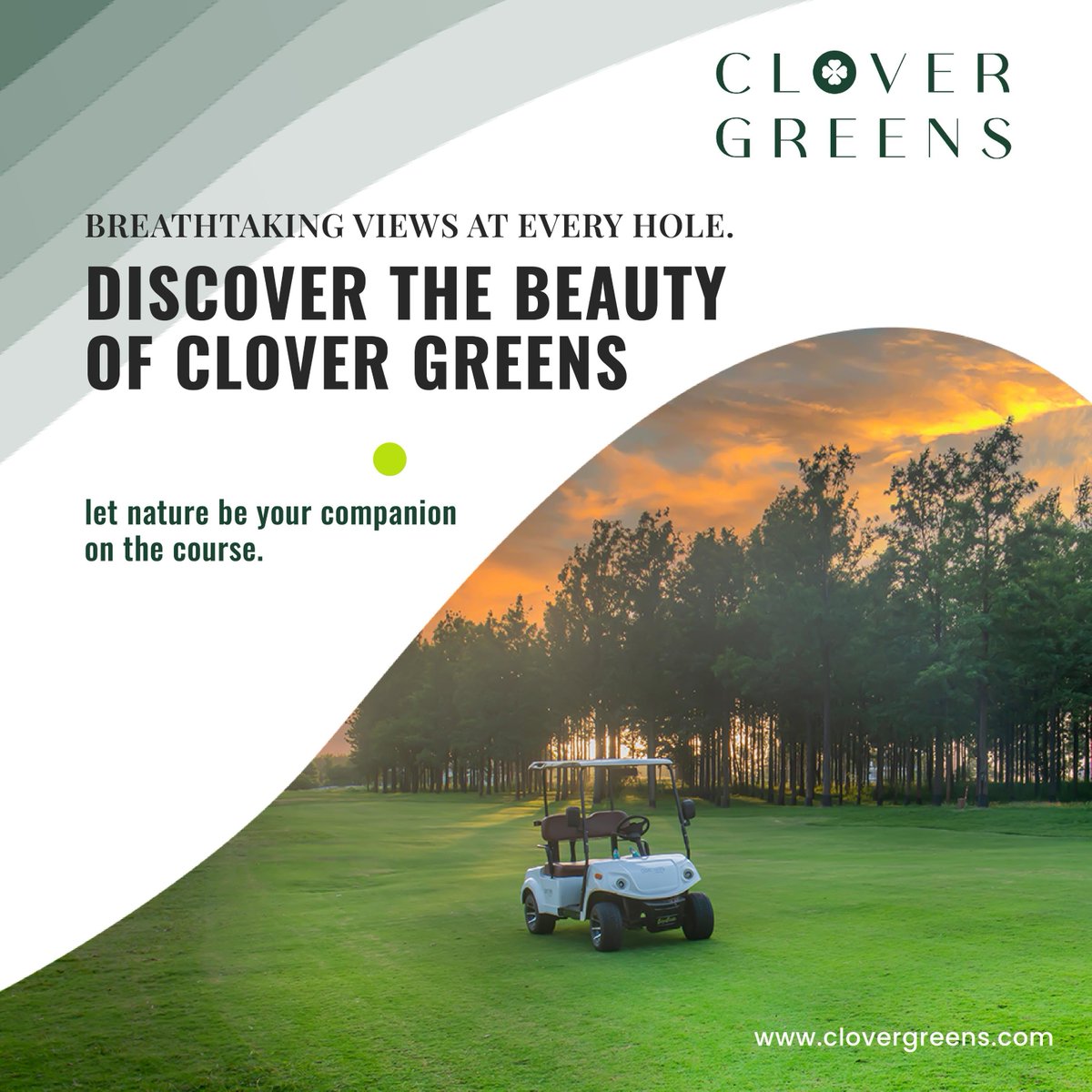 Clover Greens tweet media
