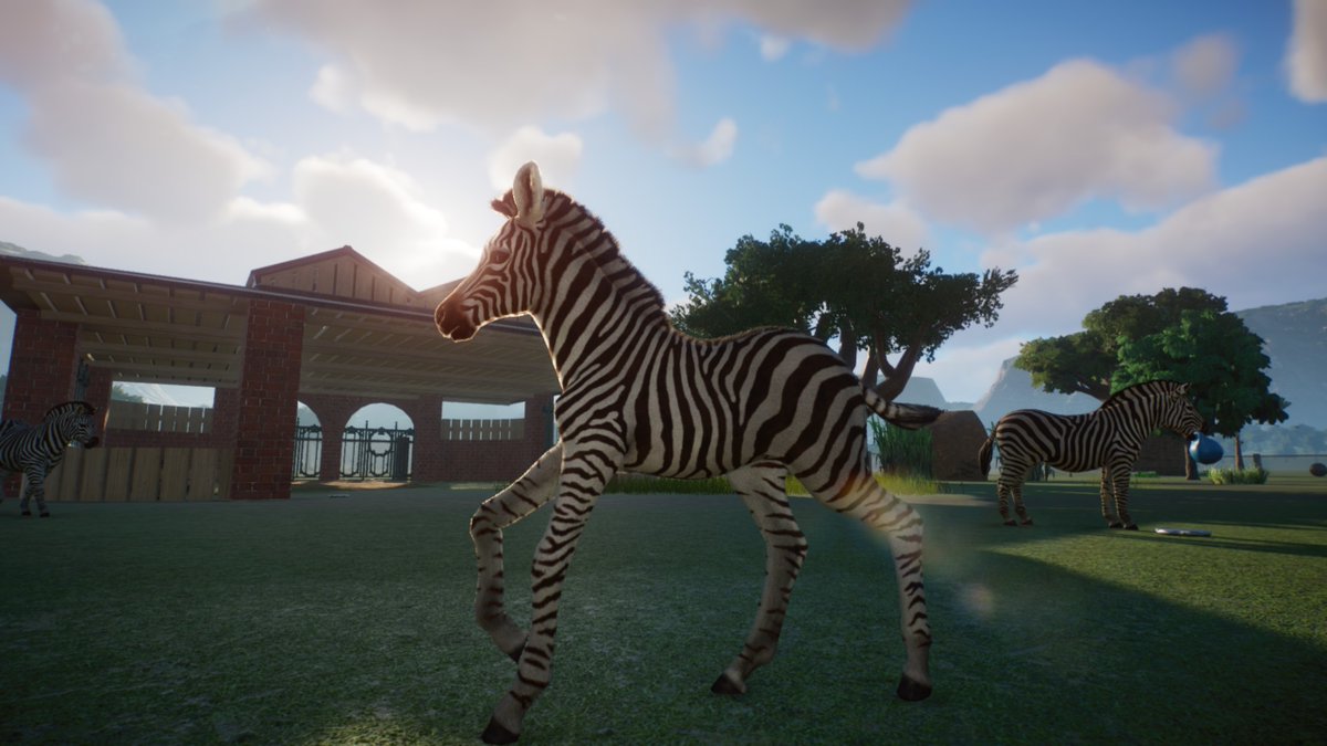 sweet_leef's tweet photo. #CommonZebra #PlanetZoo https://t.co/abHuf8rq5f