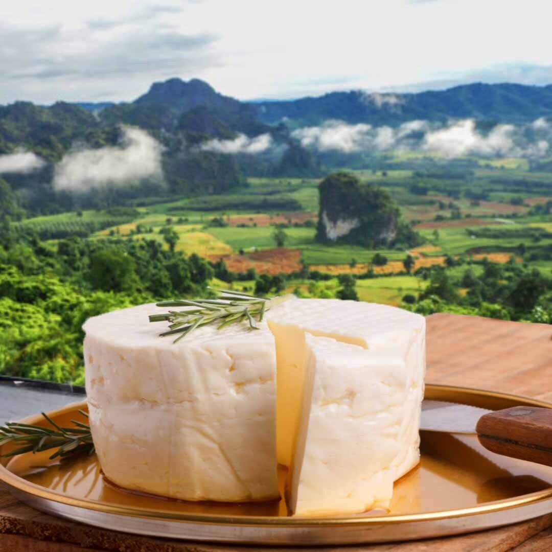 CntiaMoura16's tweet image. Bom dia e Boa Semana, com Queijo!
😋😍 

#trembaouai #trembaouaisjc #sjcampos #jardimoriente #produtosmineiros #queijo