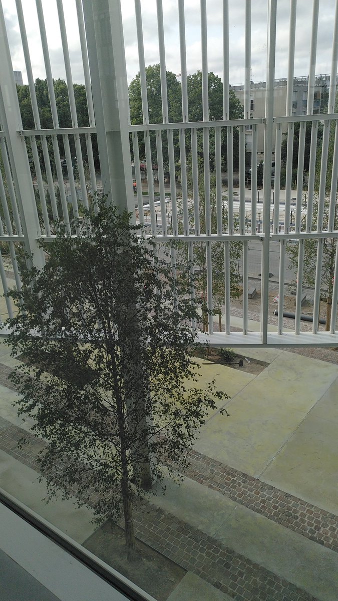 Bibliothèques CS tweet media