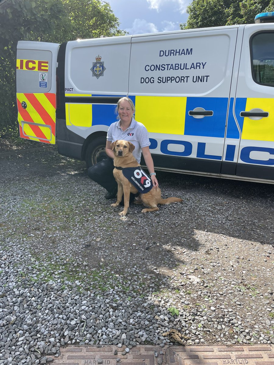 Durham Constabulary OK9 Wellbeing and Trauma Dogs tweet media