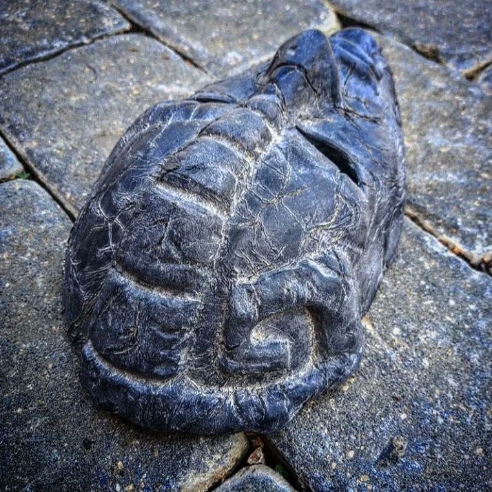 paintproquo's tweet photo. "I reject my humanity, JoJo!!"

Stone Mask from JoJo's BizzarreAdventure!!
🪨💀🧛🏻🏰

#JoJo #Jojosbizarreadventure #JoJosPhantomBlood #jojosbizzareadventure #JoJokes #jojoke #jojokimyounabouken #jojos #jojosbizarreadventurediamondisunbreakable #jojonokimyounabouken https://t.co/k6ELu7KHLD