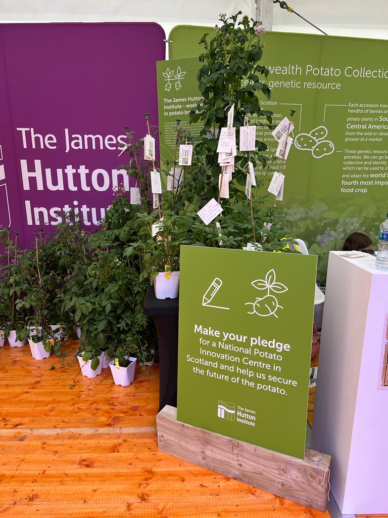 Potato@Hutton tweet media