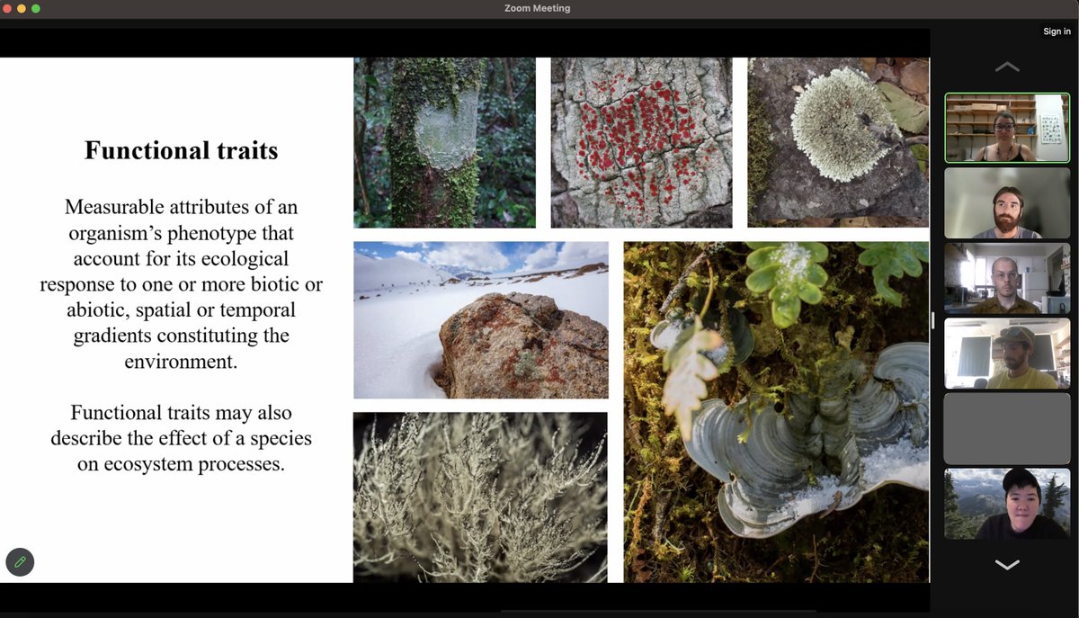 Another successful #lichen #journalclub led by Ana Fávero on #FunctionalTrait #ecology with 17 attendees from 7 different countries!
Know more about this activity of the Early Career Research Committee at ial-lichenology.org/courses-trips/…
#YoungResearchers #training #YoungLichenologists