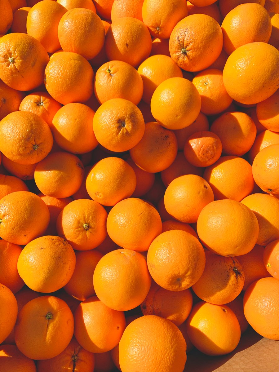 IcexPolonia's tweet photo. 💭¿Sabías que..?
Las frutas sin conservar🍒🥥que más ha exportado España a Polonia en 2023 son las mandarinas🍊15,2 Millones de €), seguidas de las naranjas (14 Millones de €), los limones🍋(11,1 Millones de €) y las fresas🍓(5,2 Millones de €) #DiaInternacionaldelaFruta https://t.co/zuOdLuY3xo