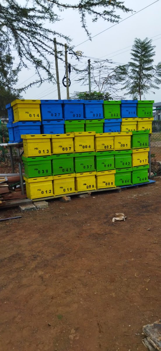 benard_kiruthu's tweet photo. 🐝🐝🌻🌻
Modern Langstroth Bee Hives and Top Bar (K.T.B.H) Bee Hives Available at Afftodable Prices.
Contact; 0703433155
Deliveries Done Country Wide.
#ModernBeeKeeping
#SustainableBeeKeeping https://t.co/XWuhHWKcke
