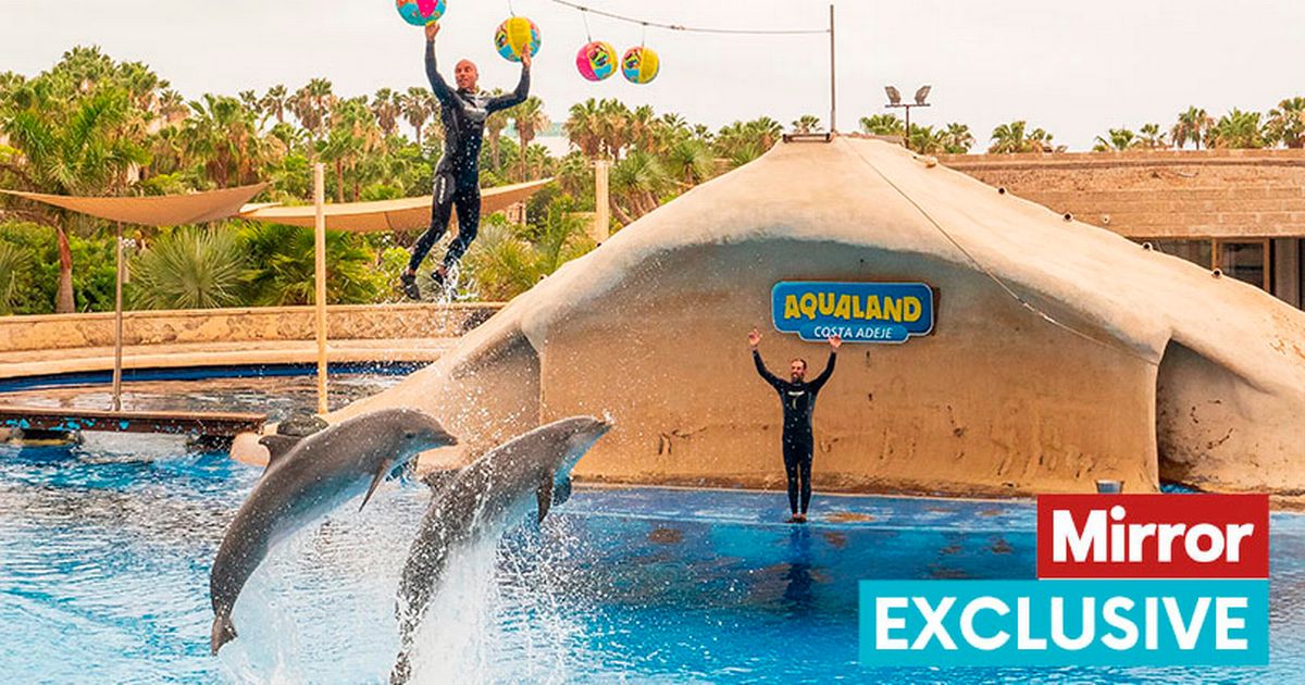 Mirror Earth tweet media