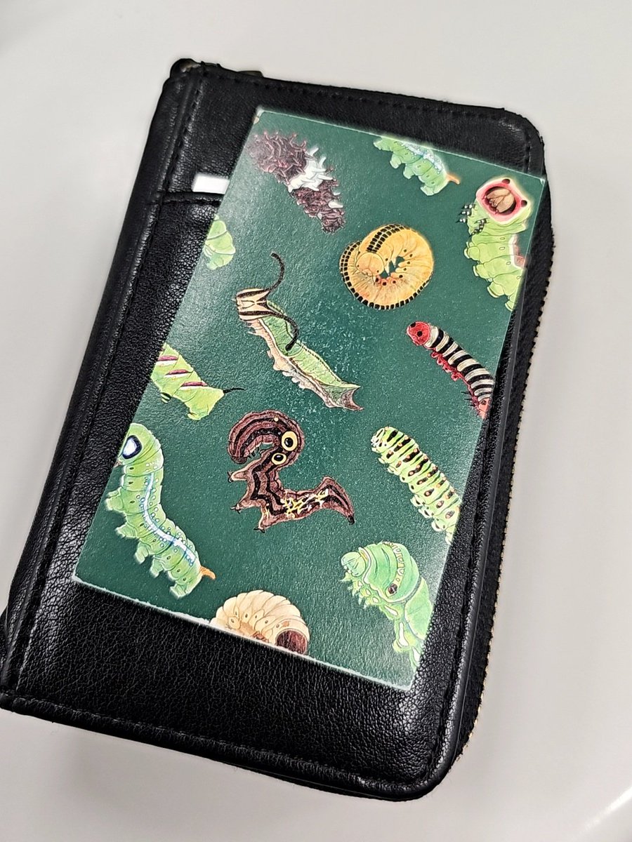 rigya22092's tweet photo. 蟲籠奇譚が好きでウサギノネドコでフェアやってた時にダッシュで買いに行った西塚em先生(@doxxxem)のめちゃかわ財布、一緒に置いてあった名刺もかわいいのでカードケースに突っ込んでたらラミネートもしてないからヘタってきた、、、 https://t.co/ZFhDXSjoaN