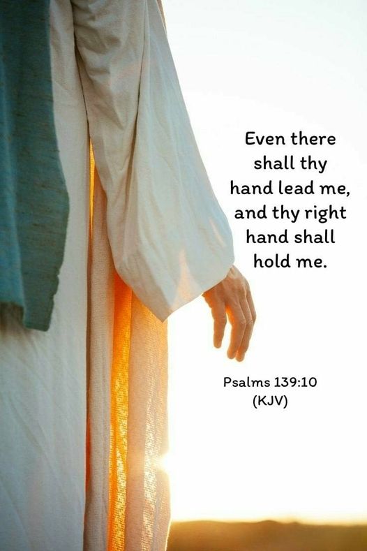 Even there shall Thy hand lead me,
And Thy right hand shall hold me.🕊️
Psalm 139:10🕊️