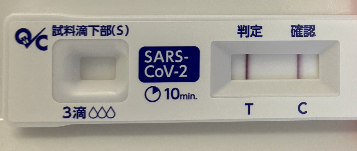 akutomoney's tweet photo. 本日は私にとって一つのターニングポイントとなりました。

それなりに年月を重ね、社会にもまれ、含み損というつらい経験を知り、辿り着いたこの場所。

ついにやりました。

コロナ・フェアリーです。
（やっちまった_:(´ཀ`」 ∠): https://t.co/iZkFtK0xwQ