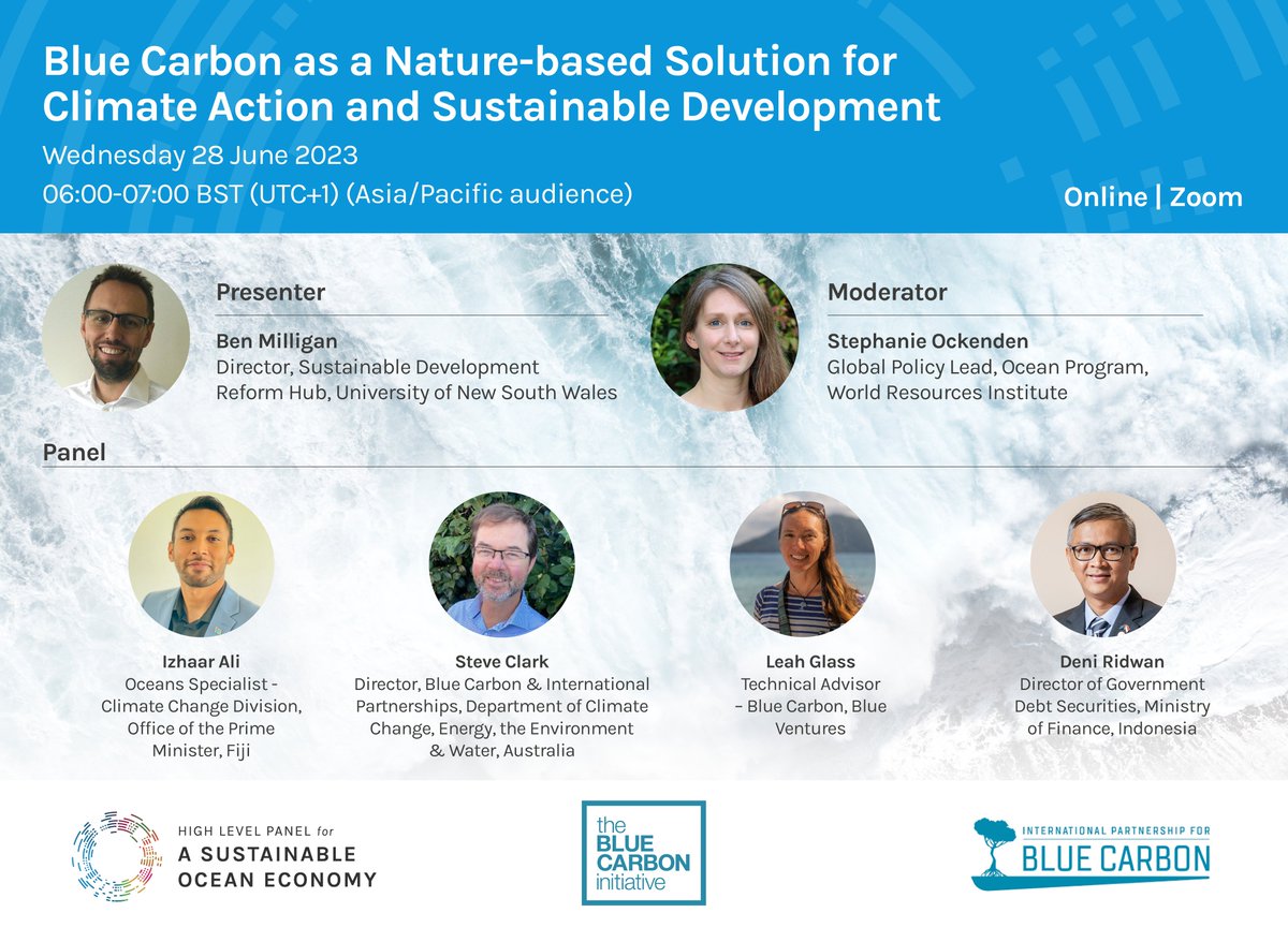Ocean Panel tweet media