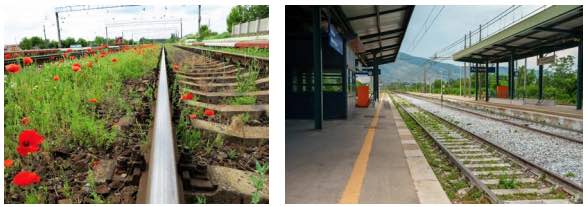 Vía Libre. La revista del ferrocarril tweet media