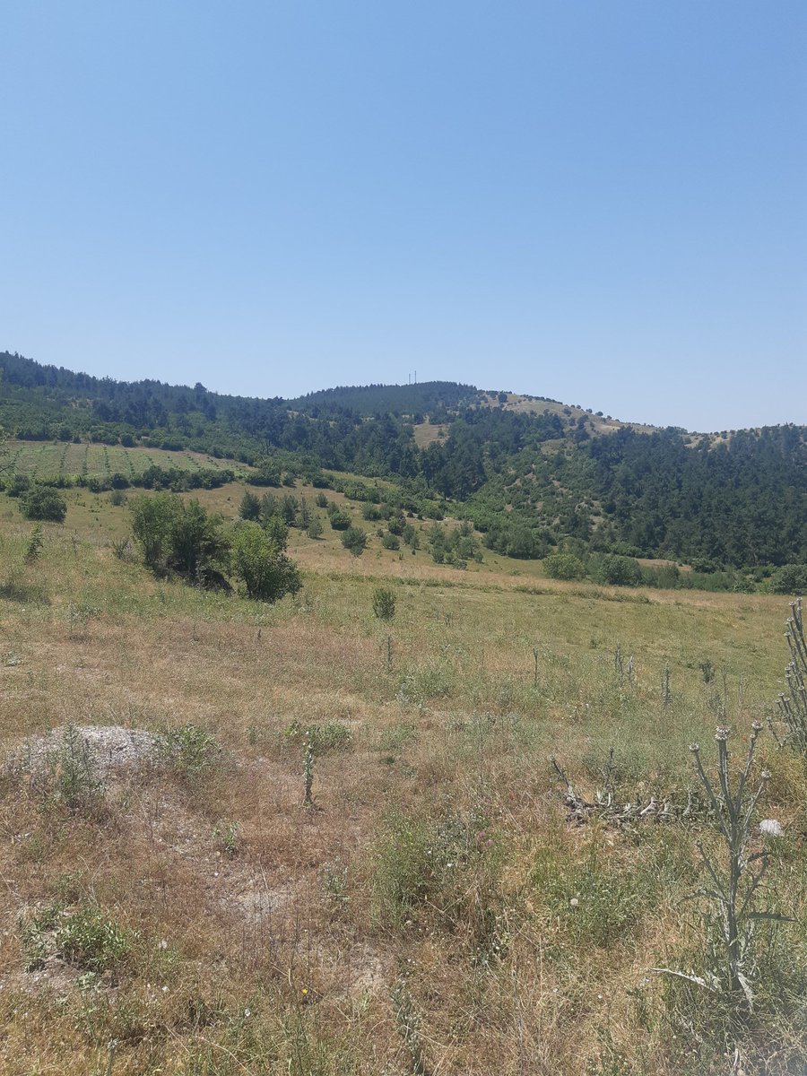 Doğayla sessizlik vede güzellik