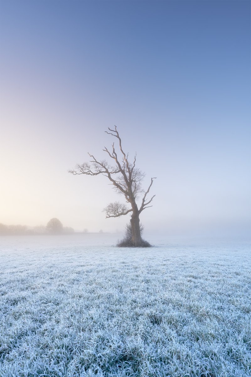 Neil Burnell tweet media