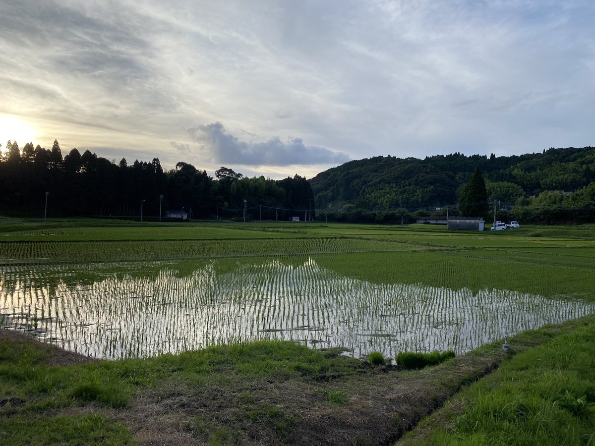 家の前こんな感じ
田舎暮らし最高🫶