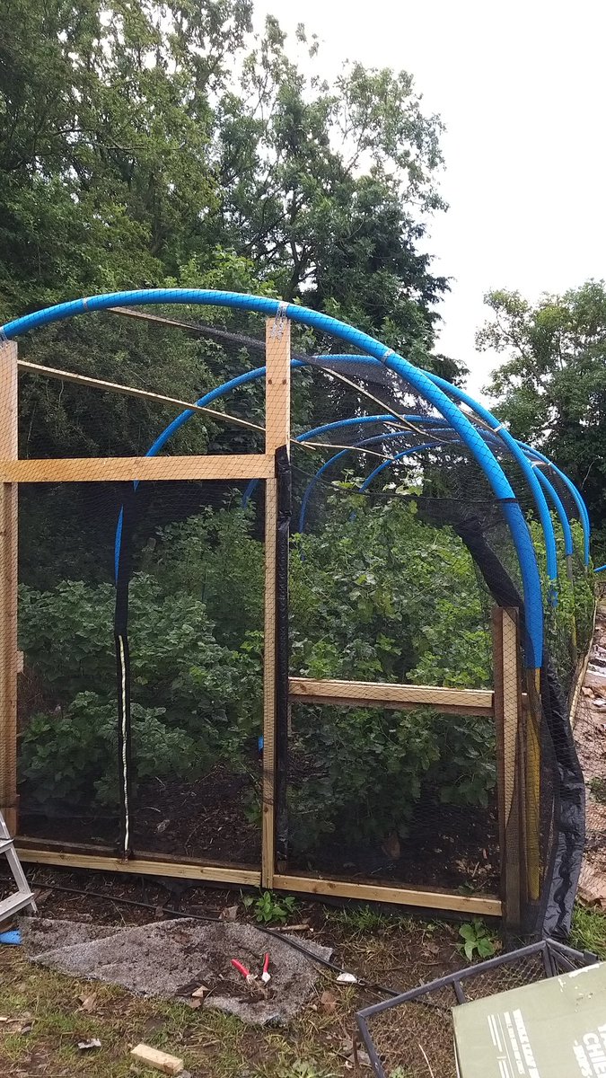 Current project complete. Just in time. 🕊
#mulchpunks