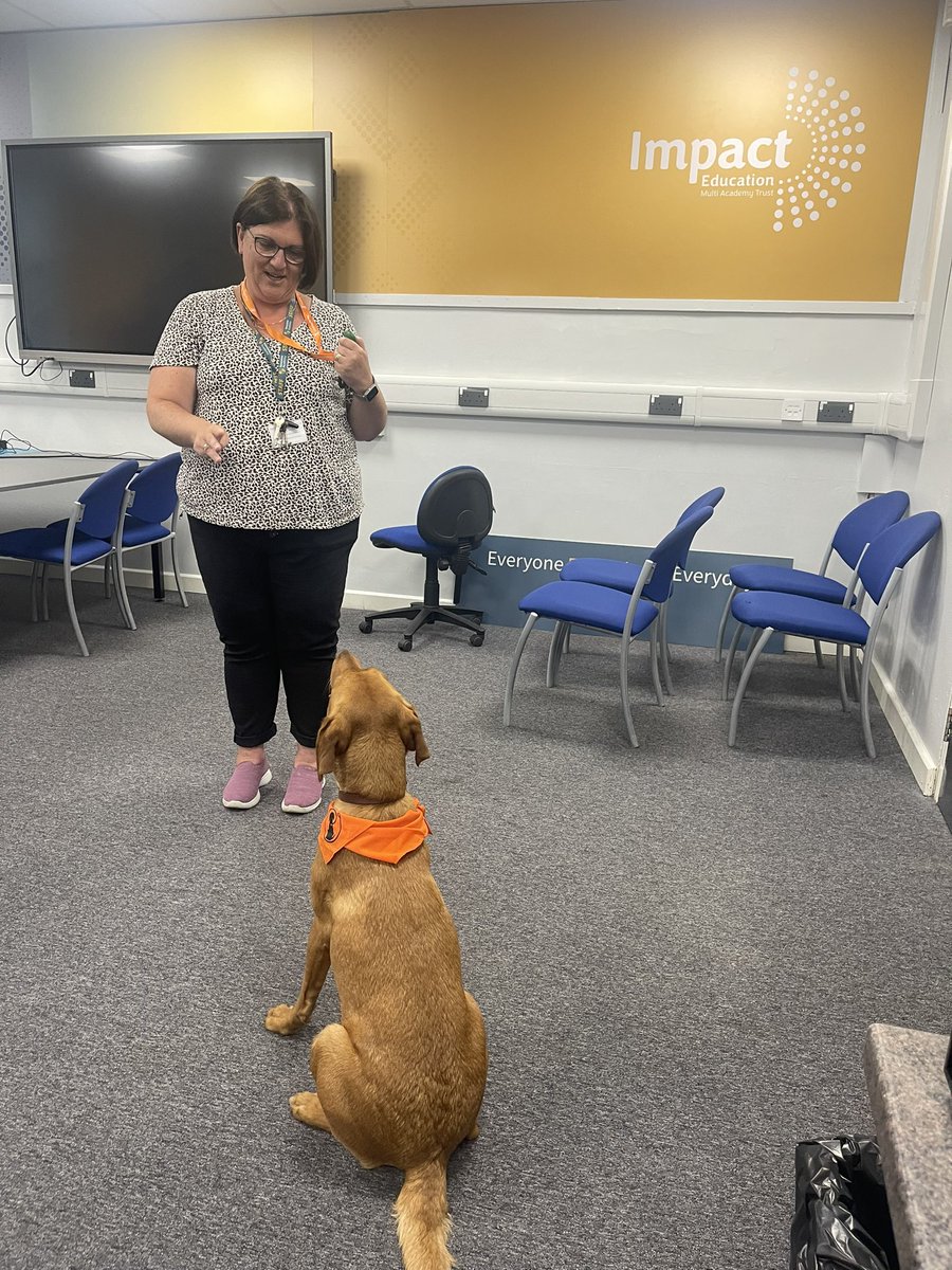 News Letters Newsome Academy