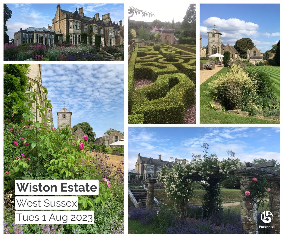 Perennial tweet media