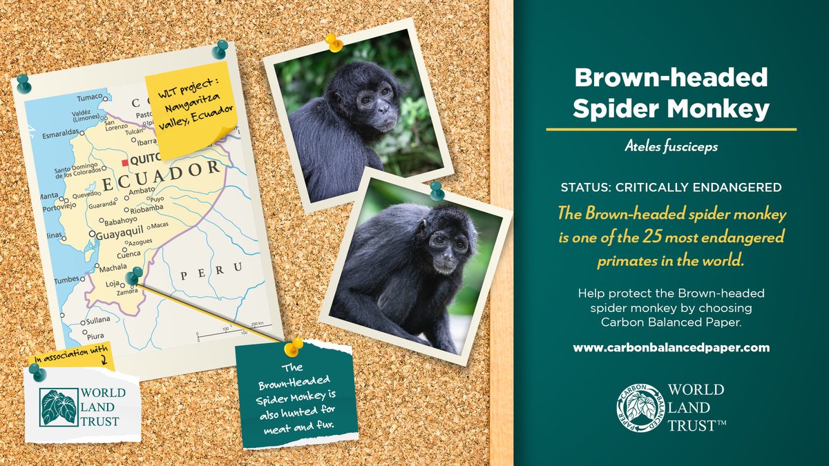 Choosing Carbon Balanced Print, Paper and Packaging will fund @worldlandtrust's ecosystem protection and restoration projects. carbonbalancedpaper.com