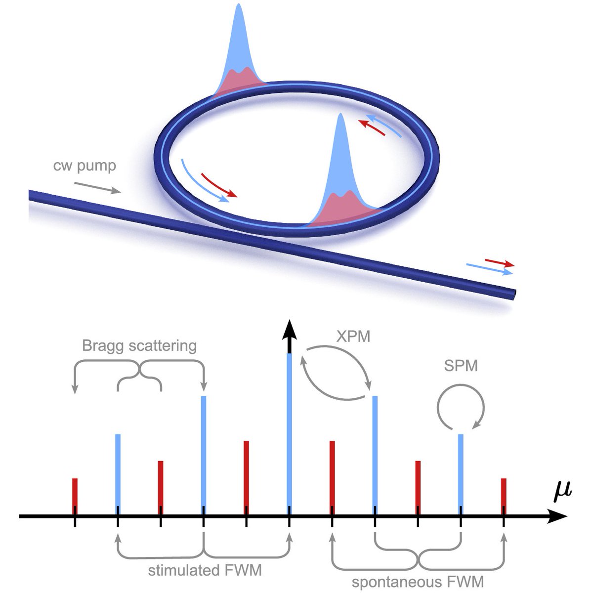 Via #OPG_Optica: Multimode squeezing in soliton crystal microcombs ow.ly/Awfl50OUgnm #FrequencyCombs #Microresonators @StanfordPhoton1 <a href="/hseas/">Harvard SEAS</a>