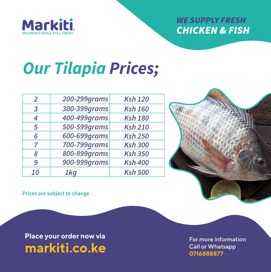Markitiapp's tweet photo. Your Tilapia, your sizeπ. Just order the size you prefer on https://t.co/ymaHawyWx0 and Markiti will have it delivered to your home.
#Markiti #MarkitiApp #OrderOnline #Drumsticks #Chicken #KeepItCool #NairobiFish #Restaurants #FishFillets #Tilapia https://t.co/4zYr1aIzml