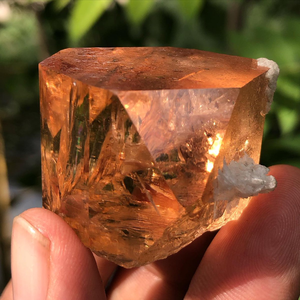 Perfect Topaz crystal with feldspar from Skardu Northern areas of Pakistan

Photo: gems.fa
Fayyaz Ahmed

#minerals