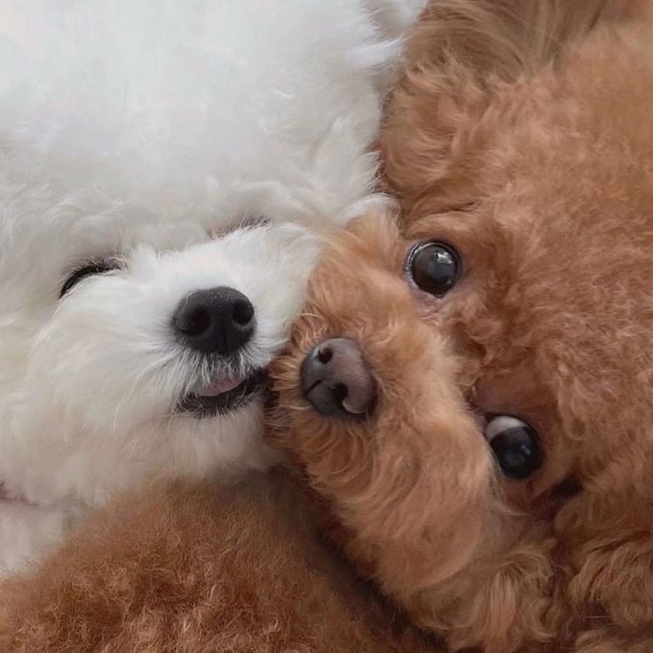 formysoobie's tweet image. ୨୧