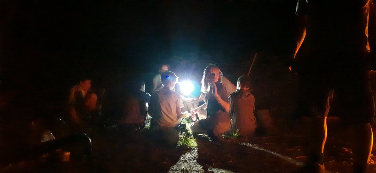 6th Fleet Scouts tweet media