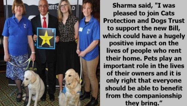 Sharma leads campaign for cat & dog charities trinitymirror.net/news/sharma-le… #campaign #pets #animalrescue #adoptdontshop - #animals #rescue #animallovers #animalrights