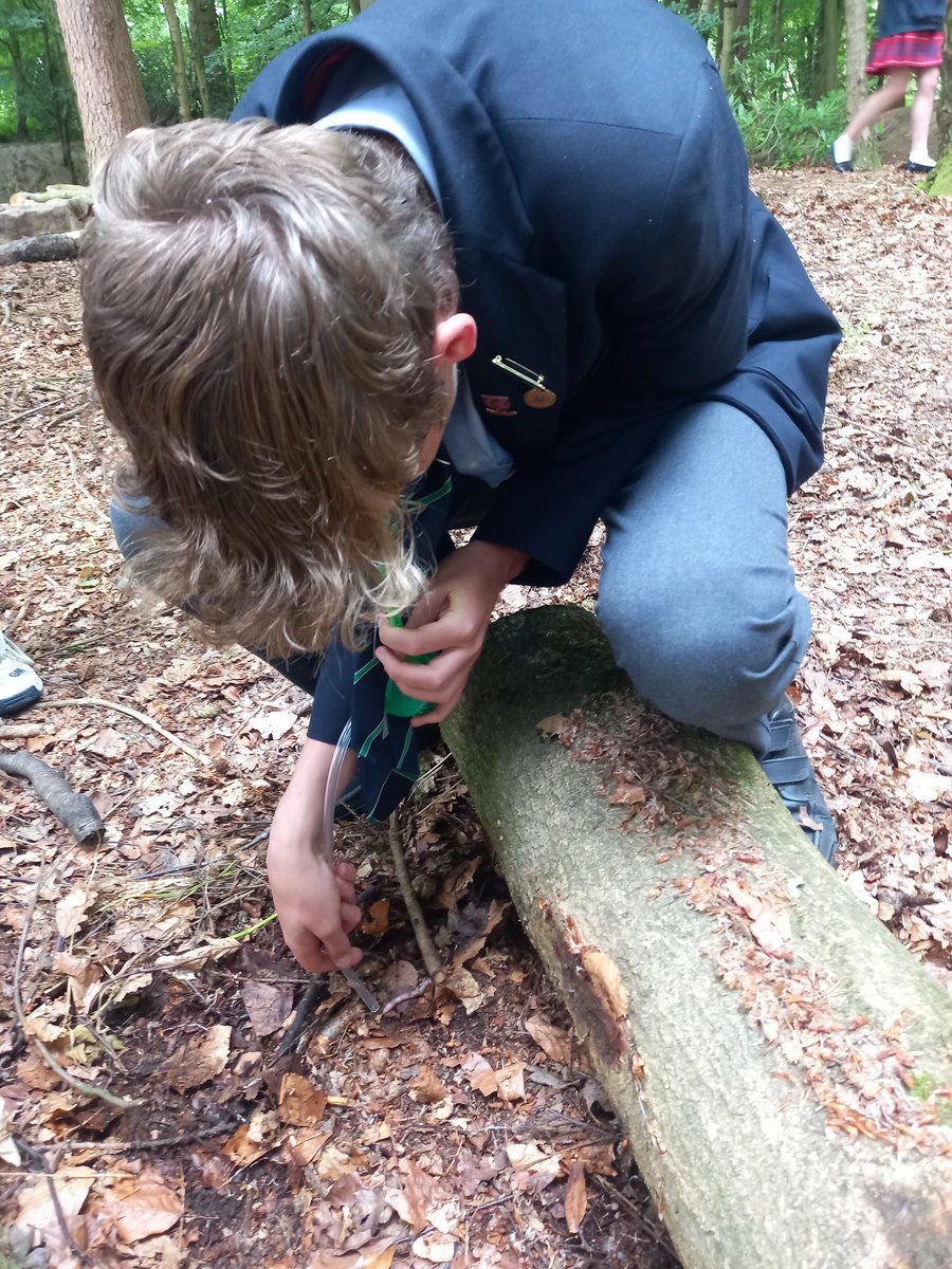 OPSScience's tweet image. Year 8 ecology morning has been fun, engaging and rather competitive! @OPS_OratoryPrep #stemeducation We&apos;ve estimated blades of grass on a cricket pitch, used pooters and gone pond dipping using all our ecological skills and sampling techniques.