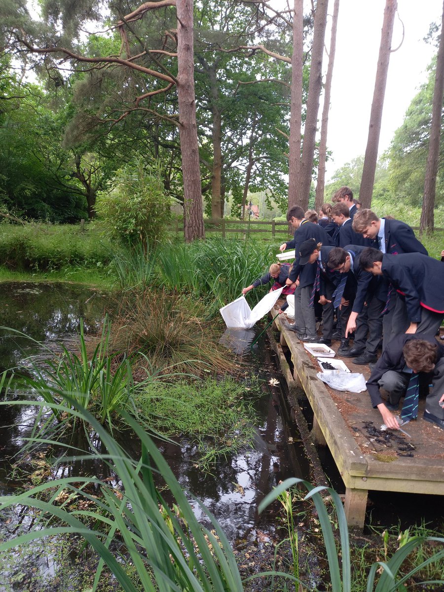 OPSScience's tweet image. Year 8 ecology morning has been fun, engaging and rather competitive! @OPS_OratoryPrep #stemeducation We&apos;ve estimated blades of grass on a cricket pitch, used pooters and gone pond dipping using all our ecological skills and sampling techniques.
