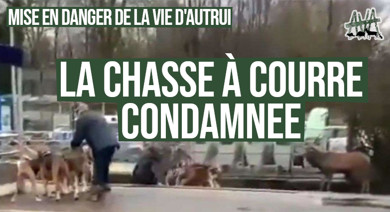 AVA__France's tweet photo. #CHASSEÀCOURRE en gare de Chantilly :
L'équipage condamné à 10.000€ d'amende pour "mise en danger de la vie d'autrui"

C'est sa 2nde condamnation en 2023 pour des faits similaires. 
Seule une interdiction de cette pratique dangereuse, cruelle &amp; féodale permettra d'empêcher cela! https://t.co/zioqyBYirk