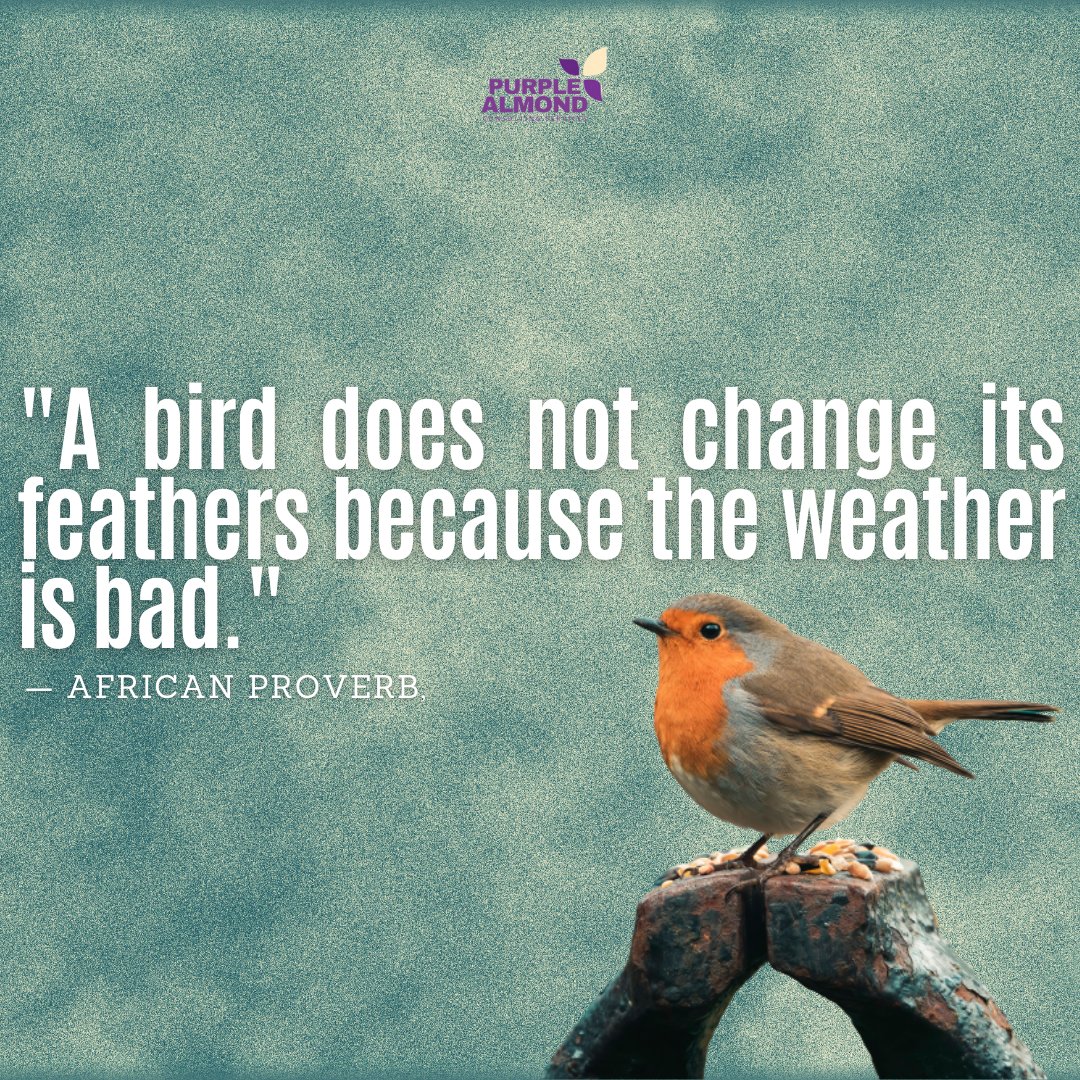 _PAConsulting_'s tweet photo. This proverb reminds us of the resilience and steadfastness required in business. Regardless of challenges and unfavorable circumstances, staying true to your values and principles is key to long-term success.

Embrace the storms and keep soaring!

#BusinessResilience https://t.co/6t1AXJ5ERj