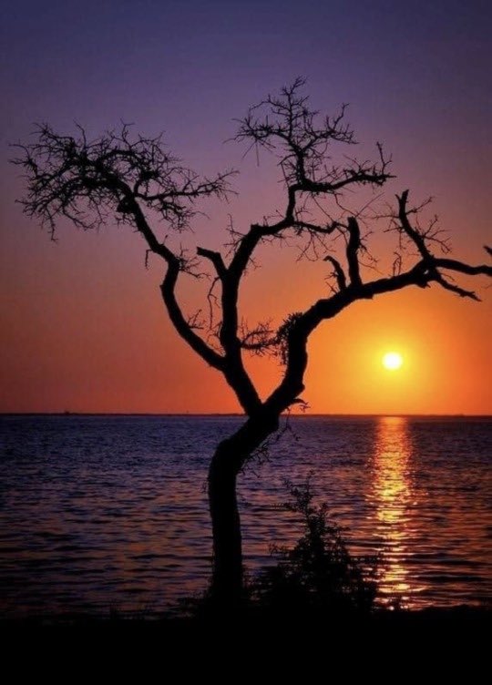 golden moon 
someplace between 
heaven and earth 

#inkMine #prompt #someplace #haiku #haikuchallenge