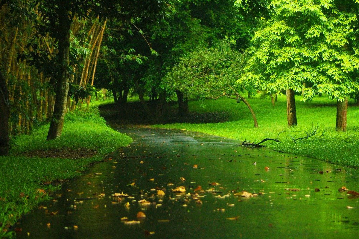 Earths_Symphony's tweet photo. Nature has a profound impact on our well-being. Spending time in nature has been shown to reduce stress, boost mood, and improve overall mental health. Take regular breaks to immerse yourself in the calming embrace of the natural world. #NatureTherapy #MentalWellness https://t.co/mkRmPJ5LBR