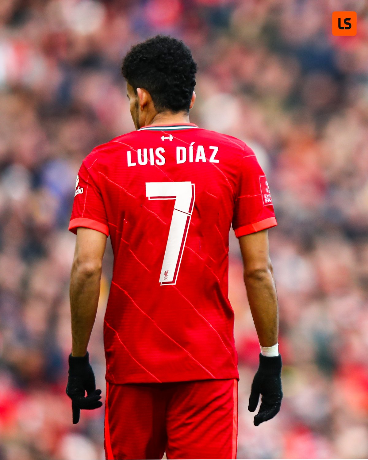 luis díaz jersey number