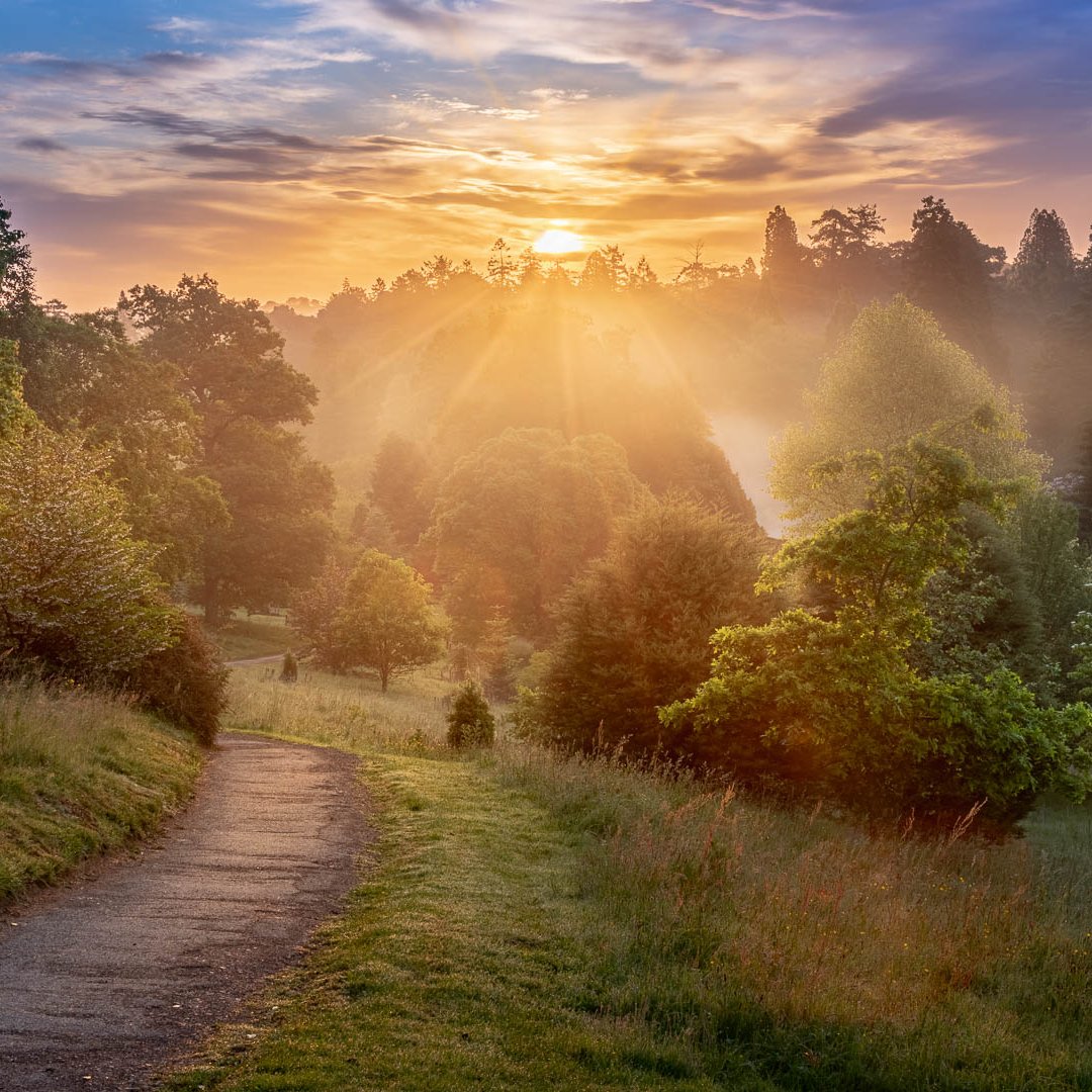 We’re excited to announce the launch of our new Seeds of Hope walking trail🥾🌲

Discover inspiring stories of hope, collaboration with experts, knowledge sharing, and the tireless efforts to save threatened conifers from around the world🌍 

To the trail👉rb.gy/vn6x5